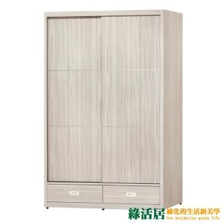 【綠活居】吉松 時尚4.7尺推門二抽衣櫃/收納櫃(附穿衣鏡面)