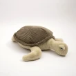 【HOLA】傭懶海洋動物造型抱枕-海龜