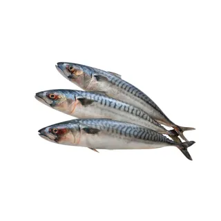 【鮮食堂】油脂肥美頂級挪威鯖魚5片(170-190g)