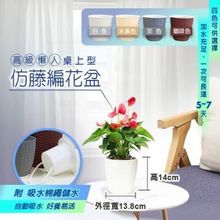 【fioJa 費歐家】高階 懶人模擬藤編自動吸水儲水 桌上型花盆(棉繩自動吸水花盆 免澆水 室內盆栽)