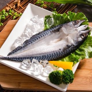 【鮮綠生活】挪威鯖魚一夜幹 共12片(175g±10%/片)