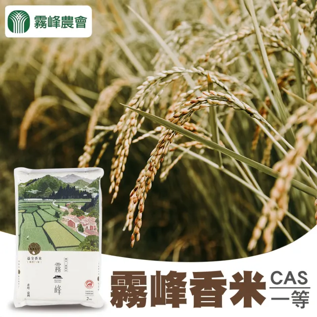 【農會】霧峰農會 益全香米-台農71號X1箱(2kgX10包/箱)