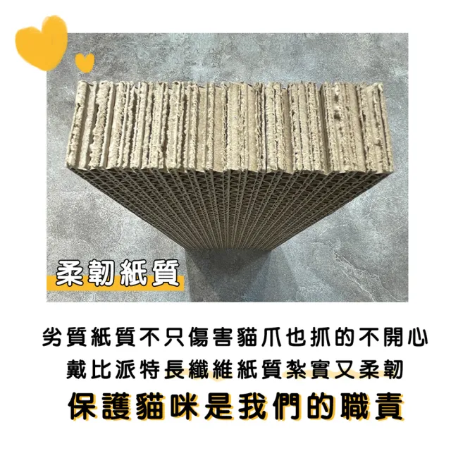 【戴比派特】大10入 / MIT 台灣製造 重磅超大貓抓板 厚實耐抓 磨爪 高CP值(好評不斷 一片可用三個月)