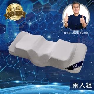 【生命磁】日本專科石墨烯能量枕2入(能量 枕頭)