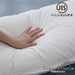 【Tonia Nicole 東妮寢飾】波蘭30D典藏羽絨枕(2入)
