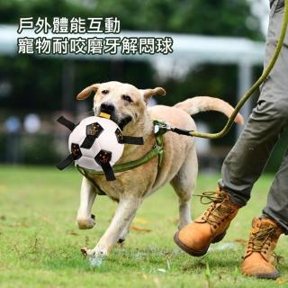 【AFAMIC 艾法】戶外體能互動繩子訓練寵物耐咬磨牙解悶球(原廠正貨 彈力球 足球 貓狗 運動 玩具)