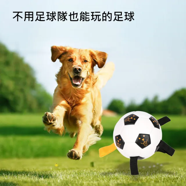 【AFAMIC 艾法】戶外體能互動繩子訓練寵物耐咬磨牙解悶球(原廠正貨 彈力球 足球 貓狗 運動 玩具)
