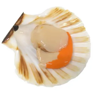 【三頓飯】鮮美半殼鮮凍大扇貝(3包_5-9入/500g/包)