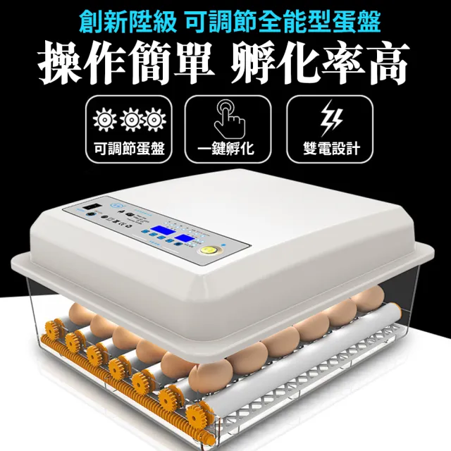 【佳裕】110V孵化機 36枚孵蛋器(雙電源可接12V全自動控溫 小雞孵化器)