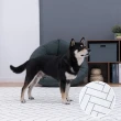 【樂嫚妮】寵物遊戲地墊 韓國製 寵物墊 寵物床 客廳地墊 摺疊地墊