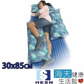 【海夫健康生活館】惠生HESN 靠3擺位 腰靠 30x85cm(HS8302-L)