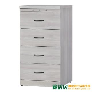 【綠活居】杜邁克 時尚2尺四抽斗櫃/收納櫃(二色可選)
