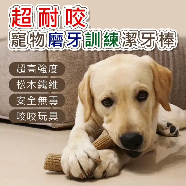 【AFAMIC 艾法】超耐咬寵物磨牙訓練安全無毒咬咬玩具潔牙棒(原廠正貨 潔牙骨 狗零食 寵物玩具)