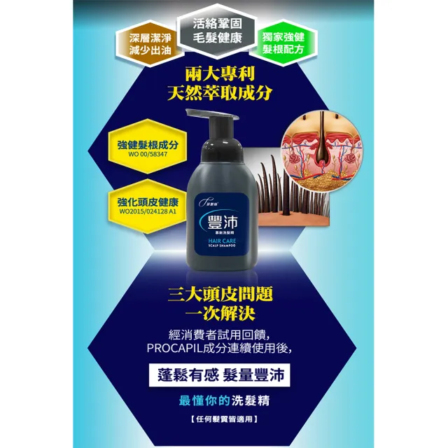 【菲那絲】豐沛慕斯洗髮精200ml