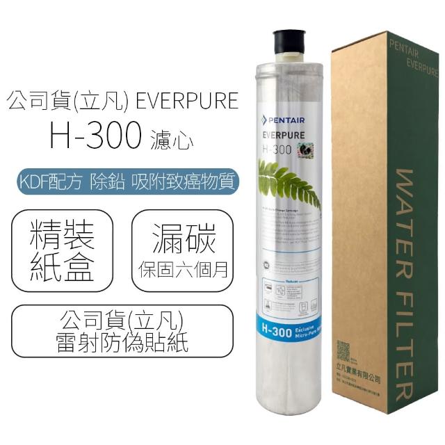 【EVERPURE】濾心 H-300 / H300