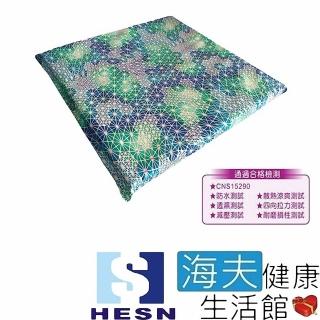【海夫健康生活館】惠生HESN 適擺樂 座墊 45x45x3H/cm(HS212-F)