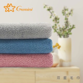 【Gemini 雙星】Gemini抗菌機能毛巾超值六入組(抑菌 防黴 消臭 無毒)