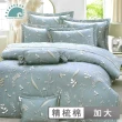 【幸福晨光】精梳棉六件式兩用被床罩組 / 空藍沐葉 台灣製(加大)