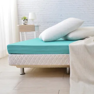 【LooCa】贈枕x1-頂級12cm防蚊+防蹣+超透氣記憶床墊(單人3尺)