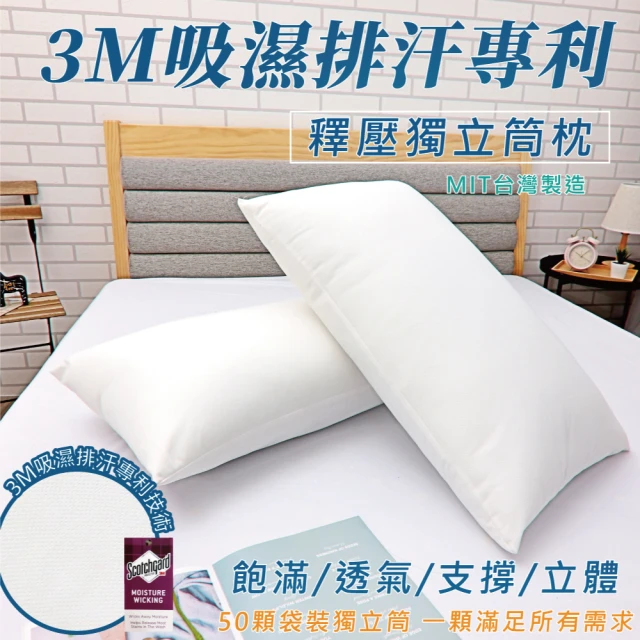 亞汀 台灣製 3M吸濕排汗獨立筒枕(一入)