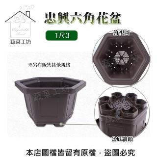【蔬菜工坊】忠興六角花盆 1尺3(加厚材質)