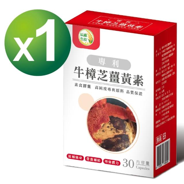 【辰鑫生技】專利牛樟芝薑黃素 素食膠囊 1入組共30顆(牛樟芝;薑黃素;五味子)