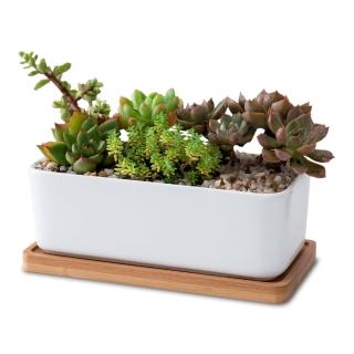 【園藝蒔光】簡約白瓷長方花器加竹託 2入組(不含植物 土壤介質 花器 花架 花盆 園藝 器皿 陶盆 多肉)
