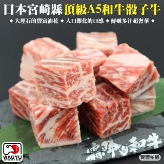 【頌肉肉】日本宮崎縣頂級A5和牛骰子牛(2包 120g/包)