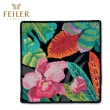 【Feiler 官方直營】高質感方巾 13款(30x30cm)