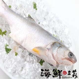 【海鮮主義】肉質鮮嫩午仔魚3包(300g±10%/包)