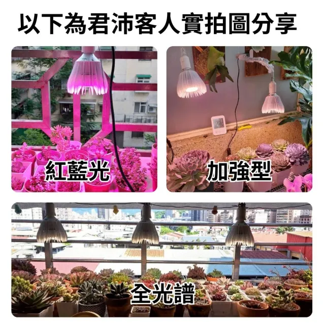 【JIUNPEY 君沛】40W 全光譜E27植物燈泡(植物生長燈)