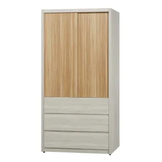 【MUNA 家居】莫托斯3.2X7尺鋼刷白雙色推門衣櫥(衣櫃 收納櫃 櫥櫃 衣櫥)