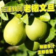 【台灣紅】鶴岡60年特級文旦10斤x1盒(老欉頂級小果_12-20顆/10斤/中秋禮盒_中秋柚子)