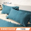 【MIT iLook】台灣製 萊賽爾天絲枕套2入(多款可選-加購)