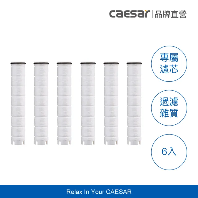 【CAESAR 凱撒衛浴】極淨純水蓮蓬頭+極淨純水蓮蓬頭濾芯6入+銀灰色極淨淋浴軟管(一年份組合)