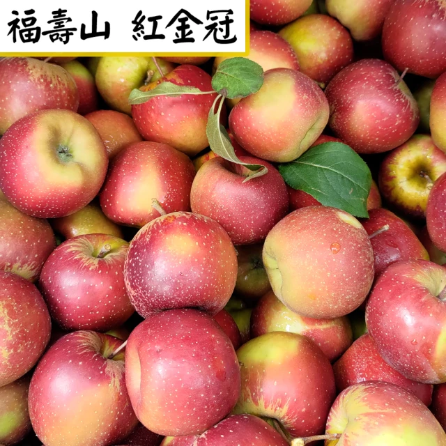 愛蜜果 大梨山區 福壽山紅金冠蘋果15顆禮盒X1盒(3斤±5%/盒)