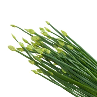 【菜霸子】任選-滿599元出貨(韭菜花250g 廠商直送)