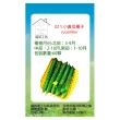 【蔬菜工坊】G11.小黃瓜種子(小胡瓜)