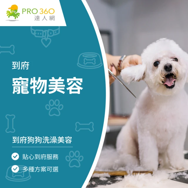 PRO360達人網 到府狗狗洗澡美容★小型犬(寵物大美容)