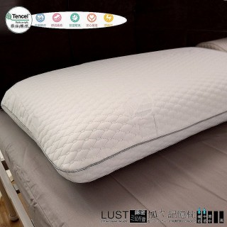 【Lust】麻糬/記憶枕/親水型 超高密度150  三公斤重 無毒檢驗/低反發/乳膠枕