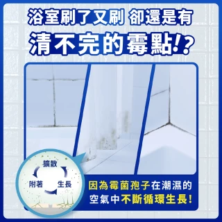 【風倍清】浴廁用防霉防臭劑/芳香劑 4入裝(柔和花香/清新柑橘)
