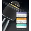 【Philips 飛利浦】2入組!!直播/家用/行動KTV 唱放一體K歌麥克風(DLM9318)