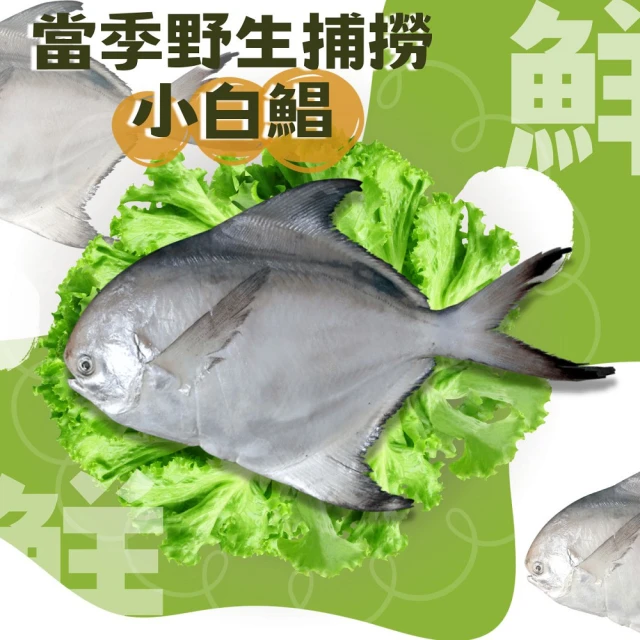 小川漁屋 印尼野生帶尾海白蝦仁9包(200g±10%/包) 