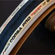 【Vittoria 維多利亞】Corsa PRO 26/28-622 G2.0 TLR 膚邊無內胎/內胎兩用(無內胎外胎 兩用胎 石墨烯2.0)