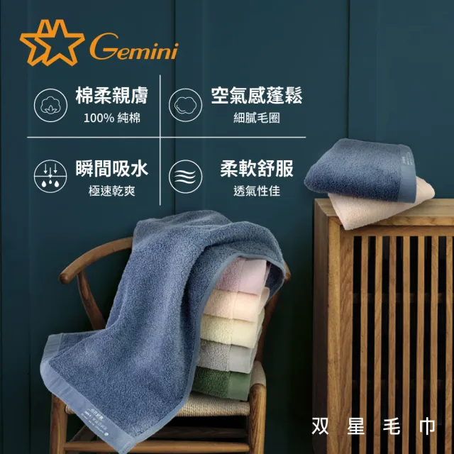 【Gemini 雙星】官方直營 100%純棉飯店大浴巾2入(自帶掛繩)-多色任選