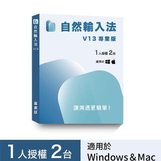 【網際智慧】自然輸入法V13 專業版(1人2臺)