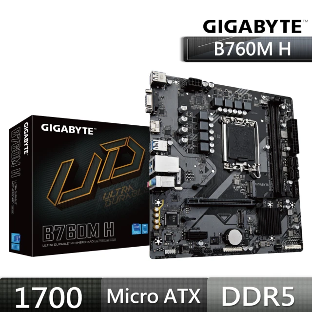 GIGABYTE 技嘉 B760M DS3H AX DDR4