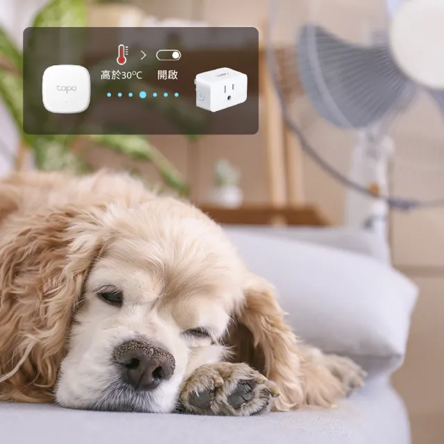 溫控設備組【TP-Link】Tapo T310+P125+H200 智慧溫濕度感測器/智能插座/無線網關