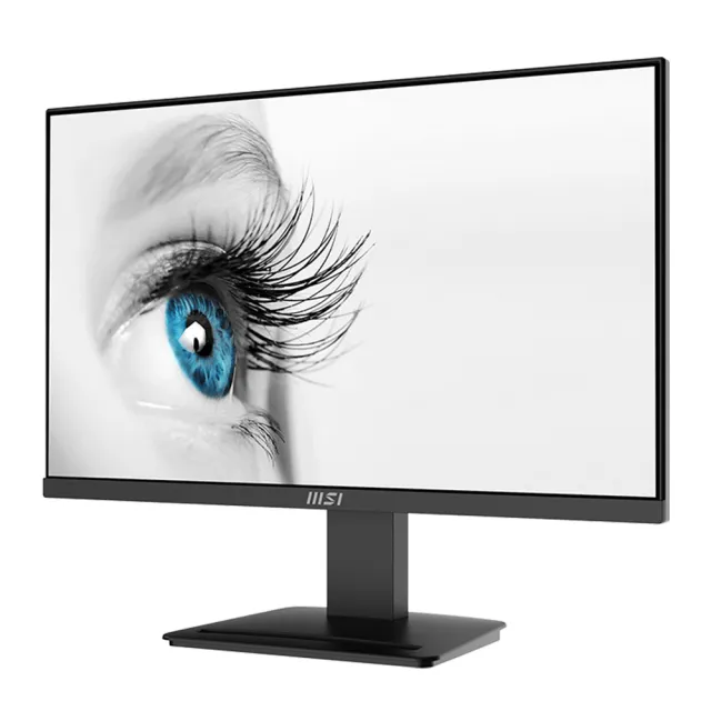 【MSI 微星】PRO MP2412 24型 VA 100Hz 美型螢幕(TUV護眼)