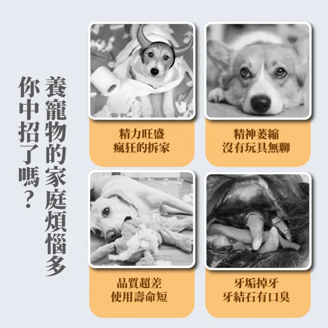 怪獸寵物發聲漏食玩具(磨牙 寵物玩具 幼犬 耐啃咬 潔牙 發聲玩具 訓練球 玩具球 狗狗玩具)